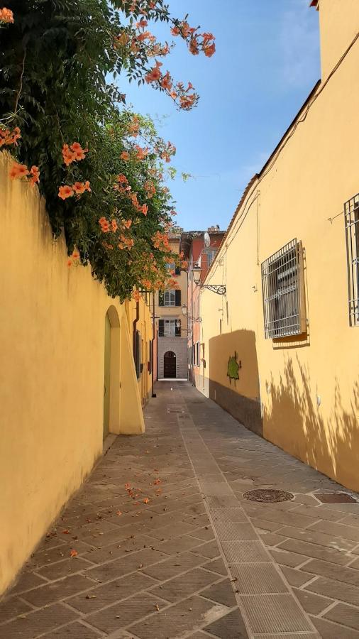 Bed and Breakfast Casa Campanella Pisa Exterior foto